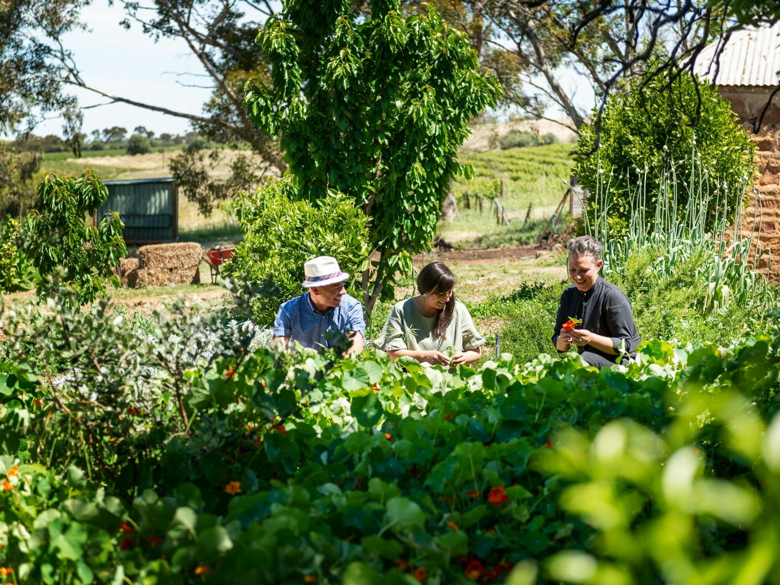 Farm Tour