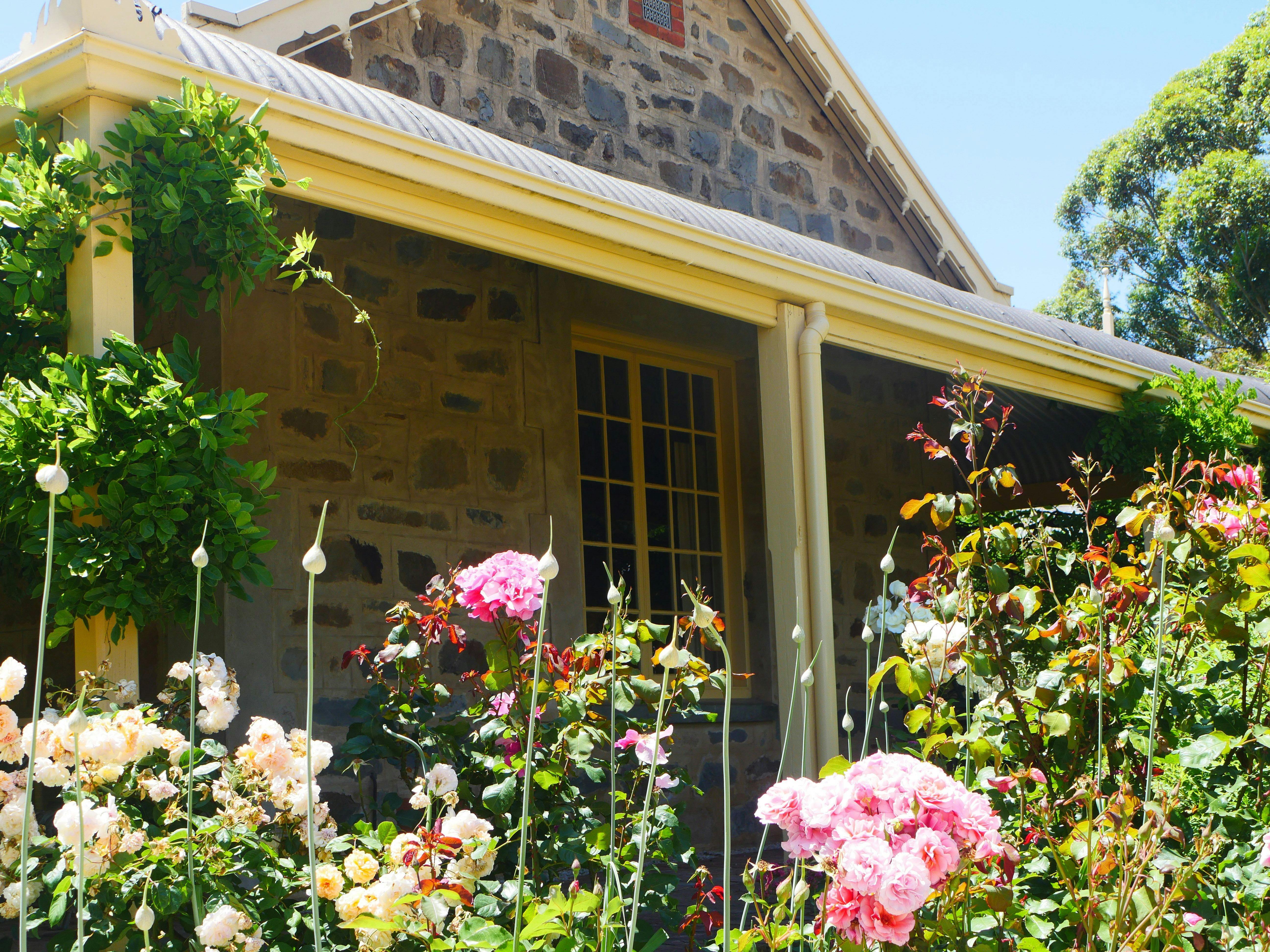 Health in the Vines Health Coaching Retreat