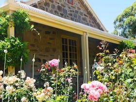 Health in the Vines Health Coaching Retreat