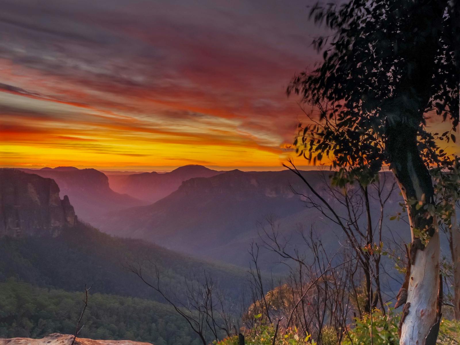 Image for Wilderness, Fire, Waterfalls, a Photographic Journey by Peter Hickey