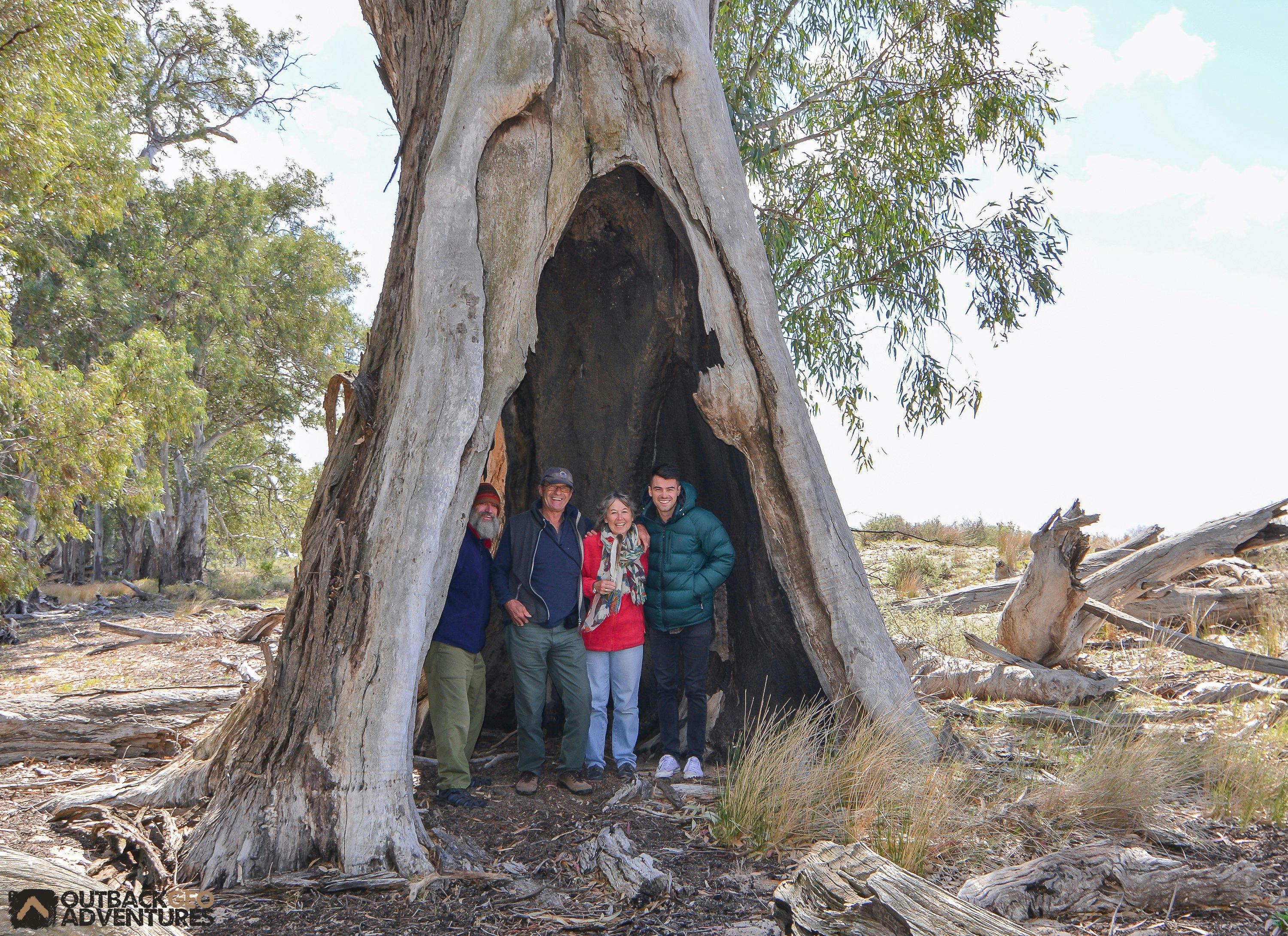 양가 티피 나무