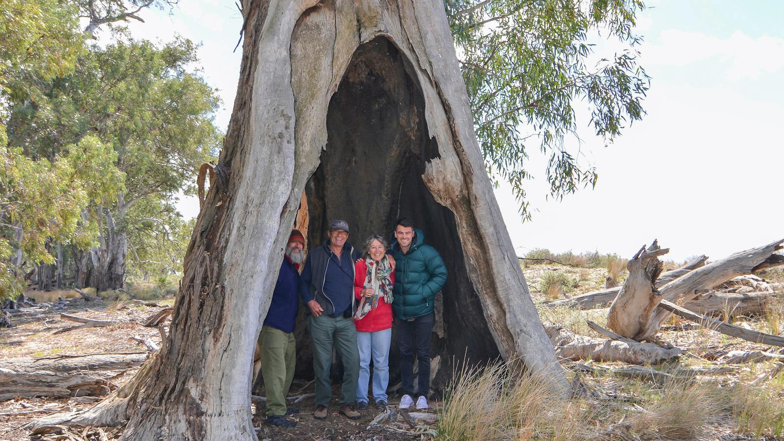 Yanga Teepee Tree