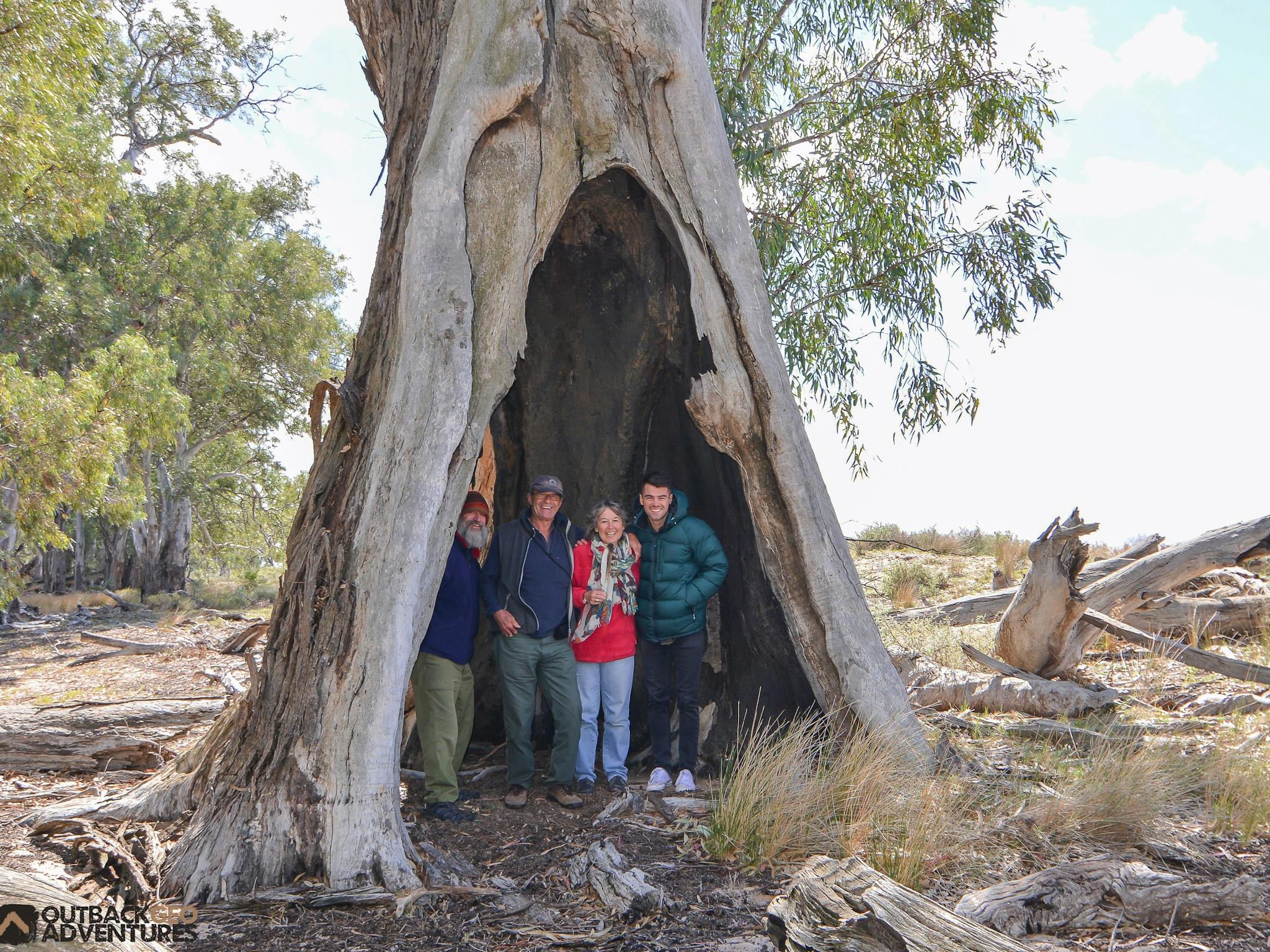 Yanga Teepee Tree