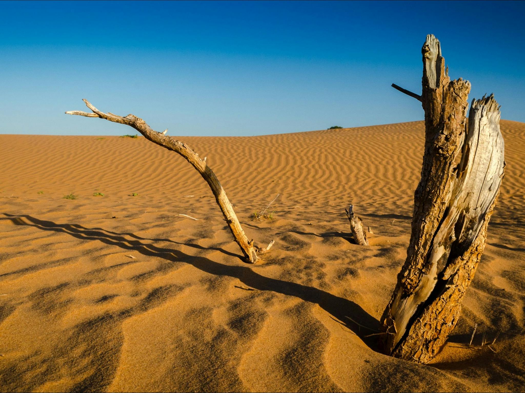 Perry Sandhills, NSW