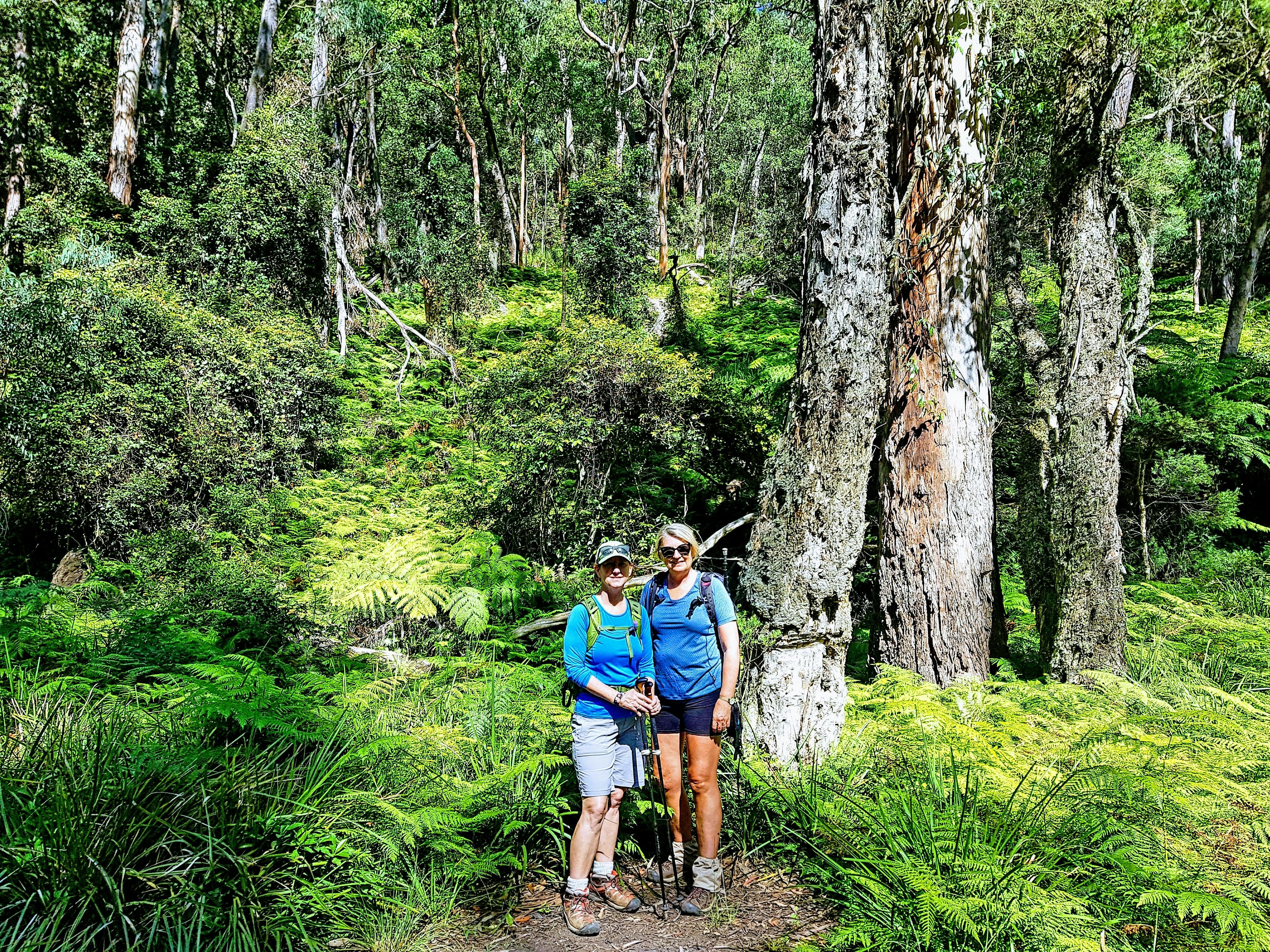 Six Foot Track 3-Day Guided Pack-Free Walk with Life's An Adventure