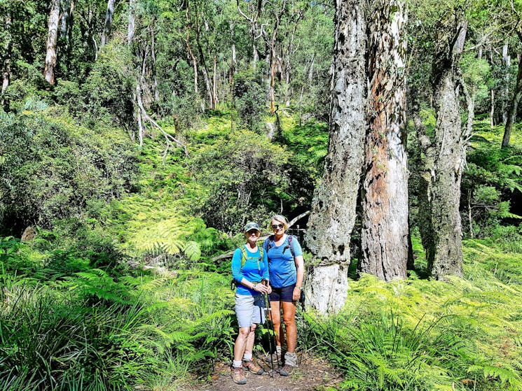 Six Foot Track 3-Day Guided Pack-Free Walk with Life's An Adventure