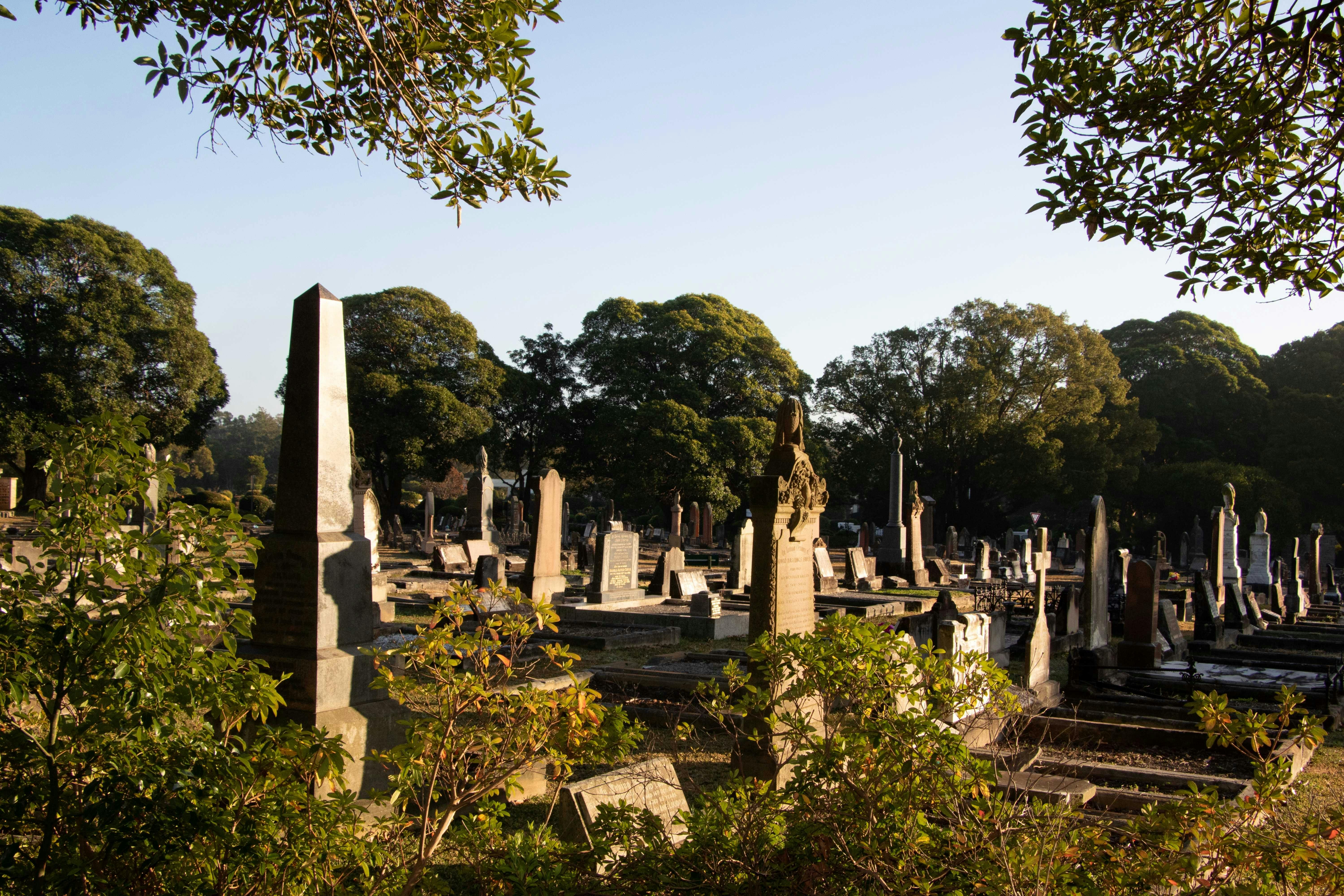 Learn about the fascinating people that reside here