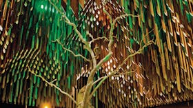 Tree of Knowledge