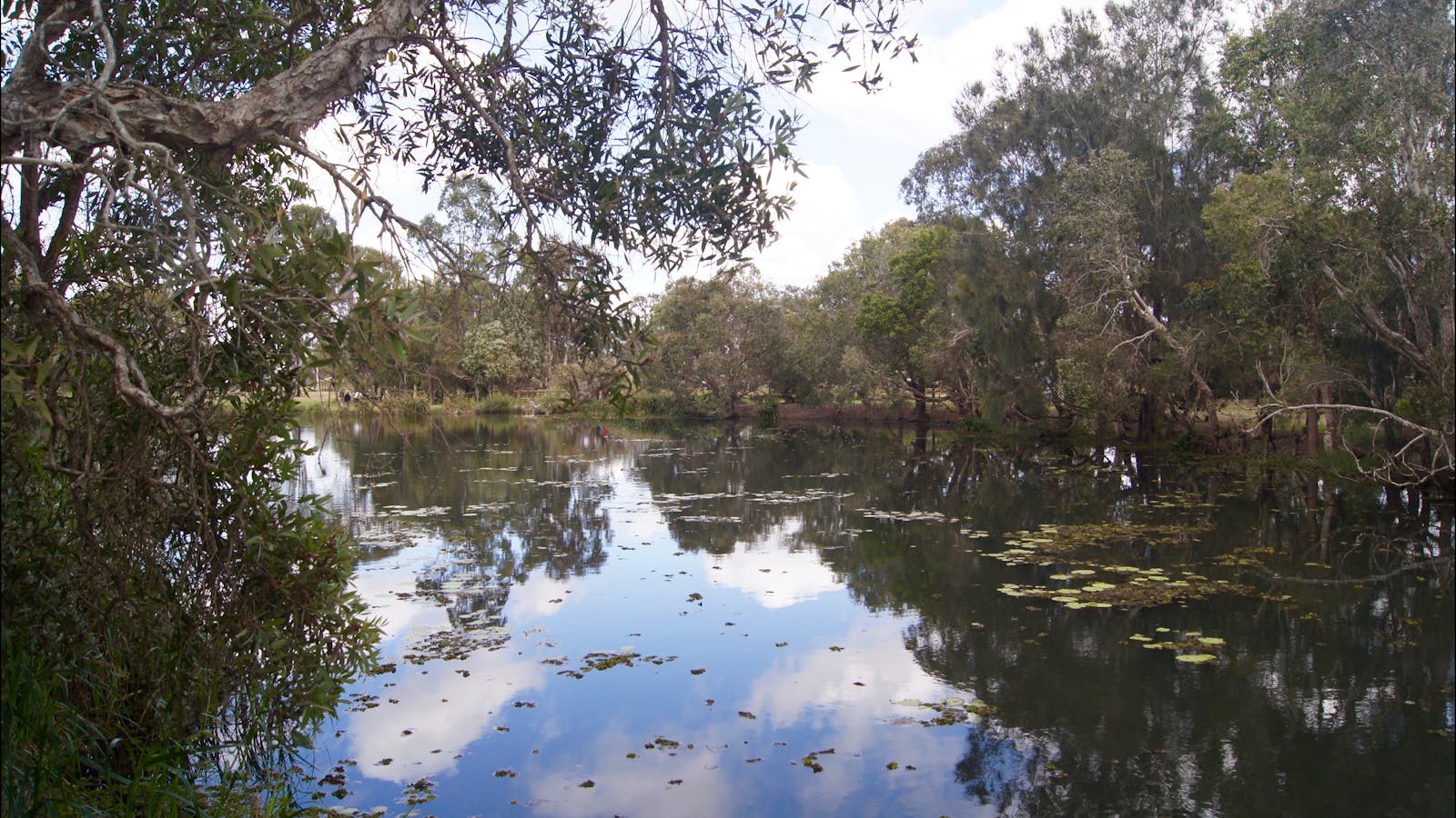 Baldwin Swamp Environmental Park