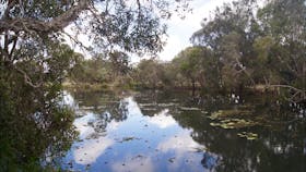 Baldwin Swamp Environmental Park
