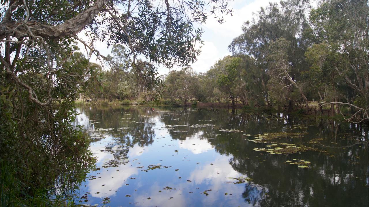 Baldwin Swamp