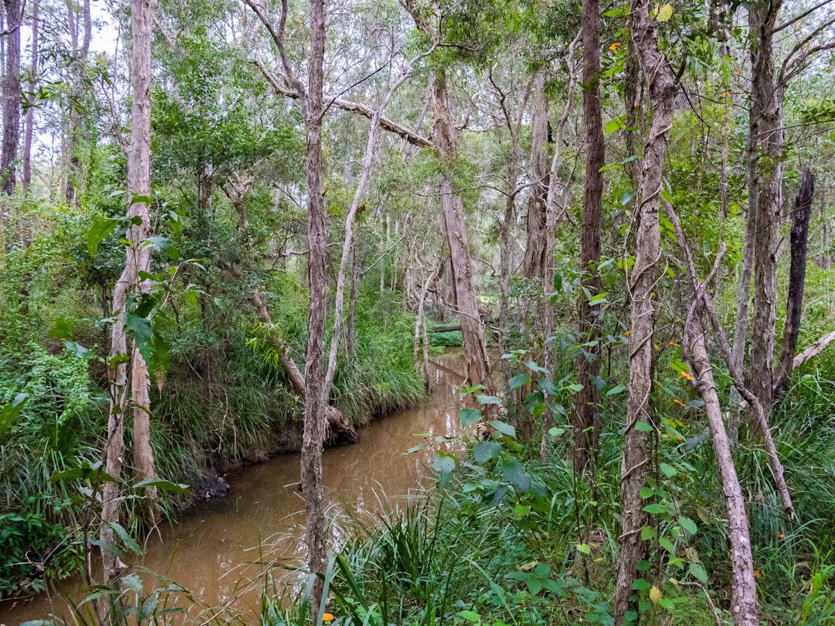 Rocky Creek Escape Farm stay - Rocky Creek