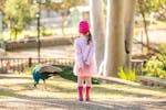 A young girl stands by admiring a peacock