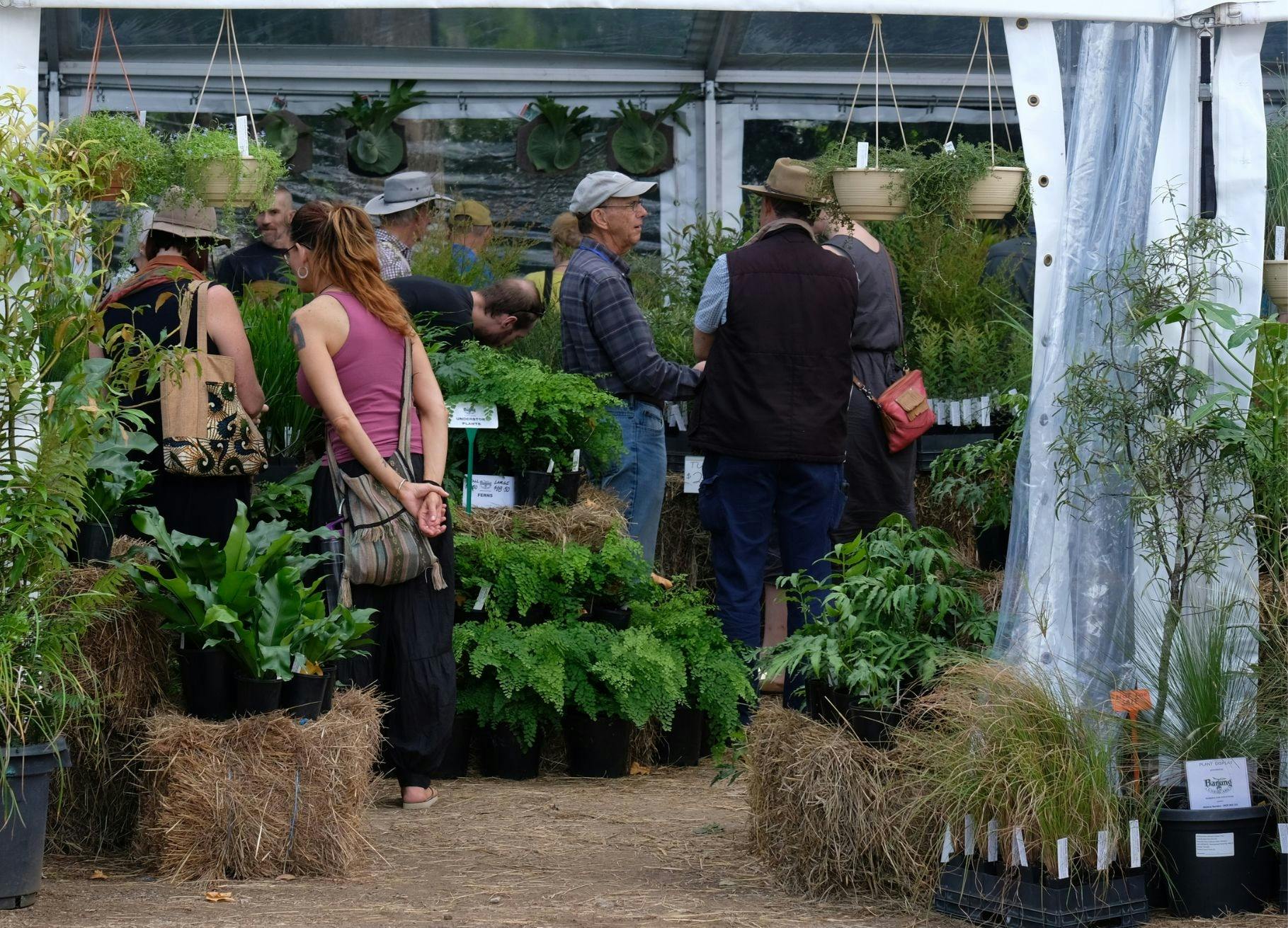Maleny Wood Expo