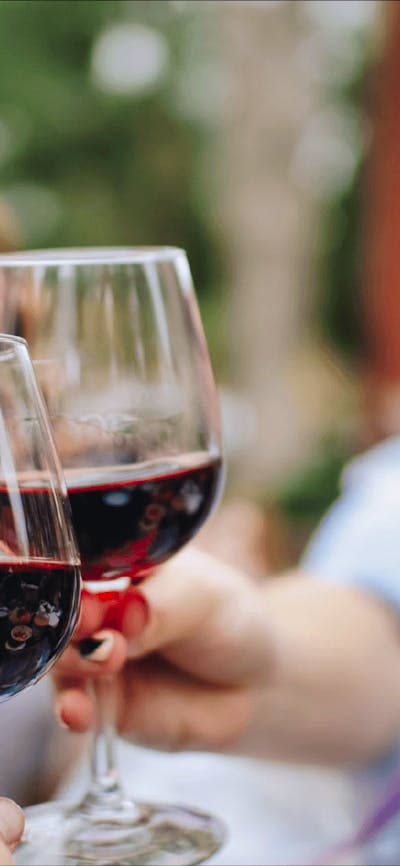 CGT Wine Tour - wine glasses cheering