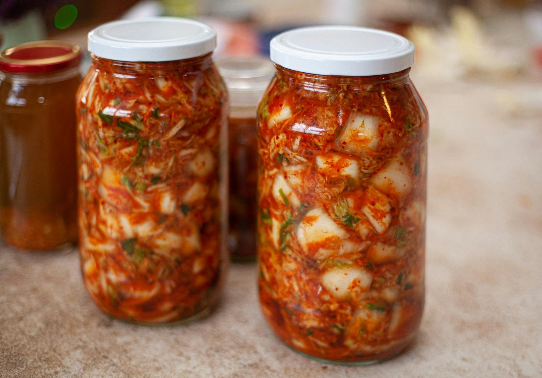 Fermenting, Drying and Preserving for Beginners