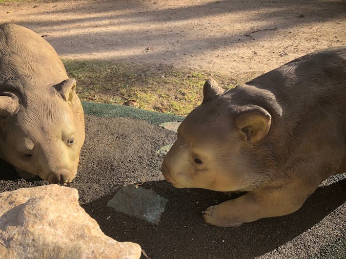 wombat garden sculpture