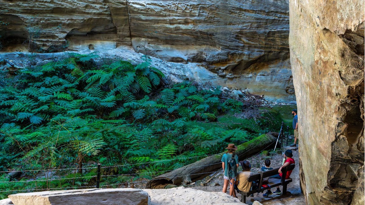 an image of inside the gorge