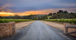 Shottesbrooke Vineyards