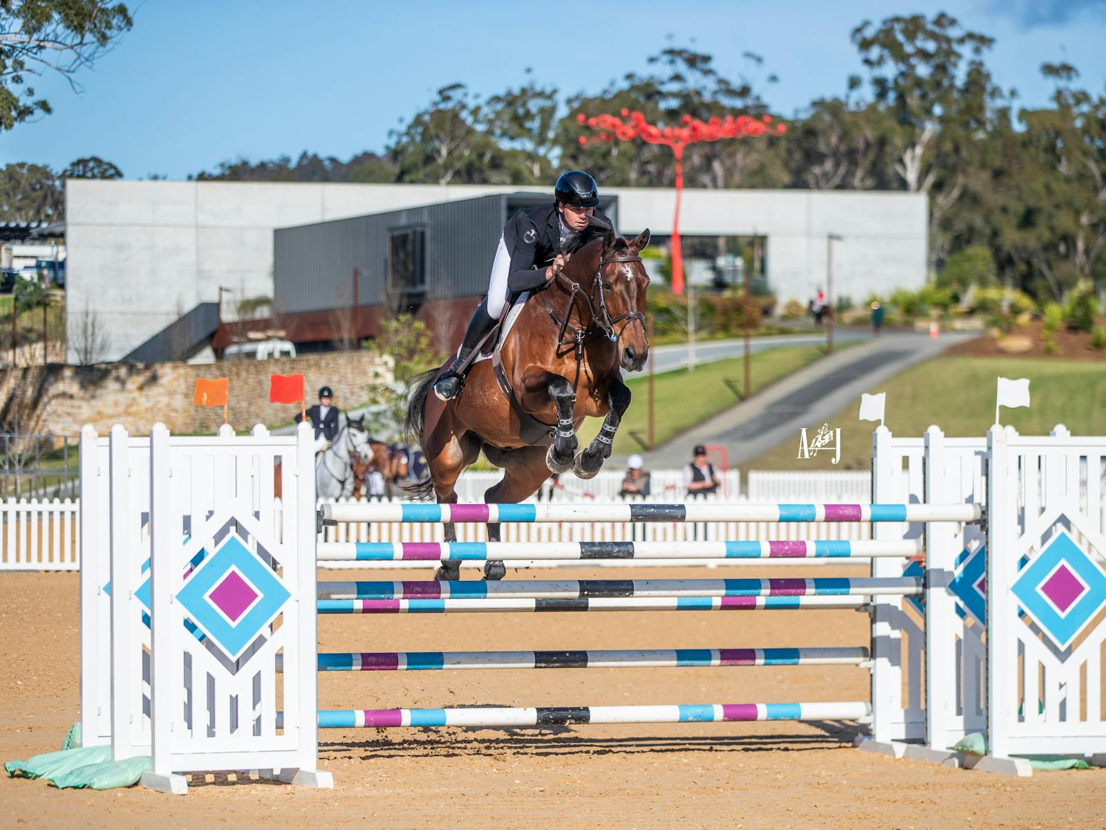 Image for Jumping at Willinga