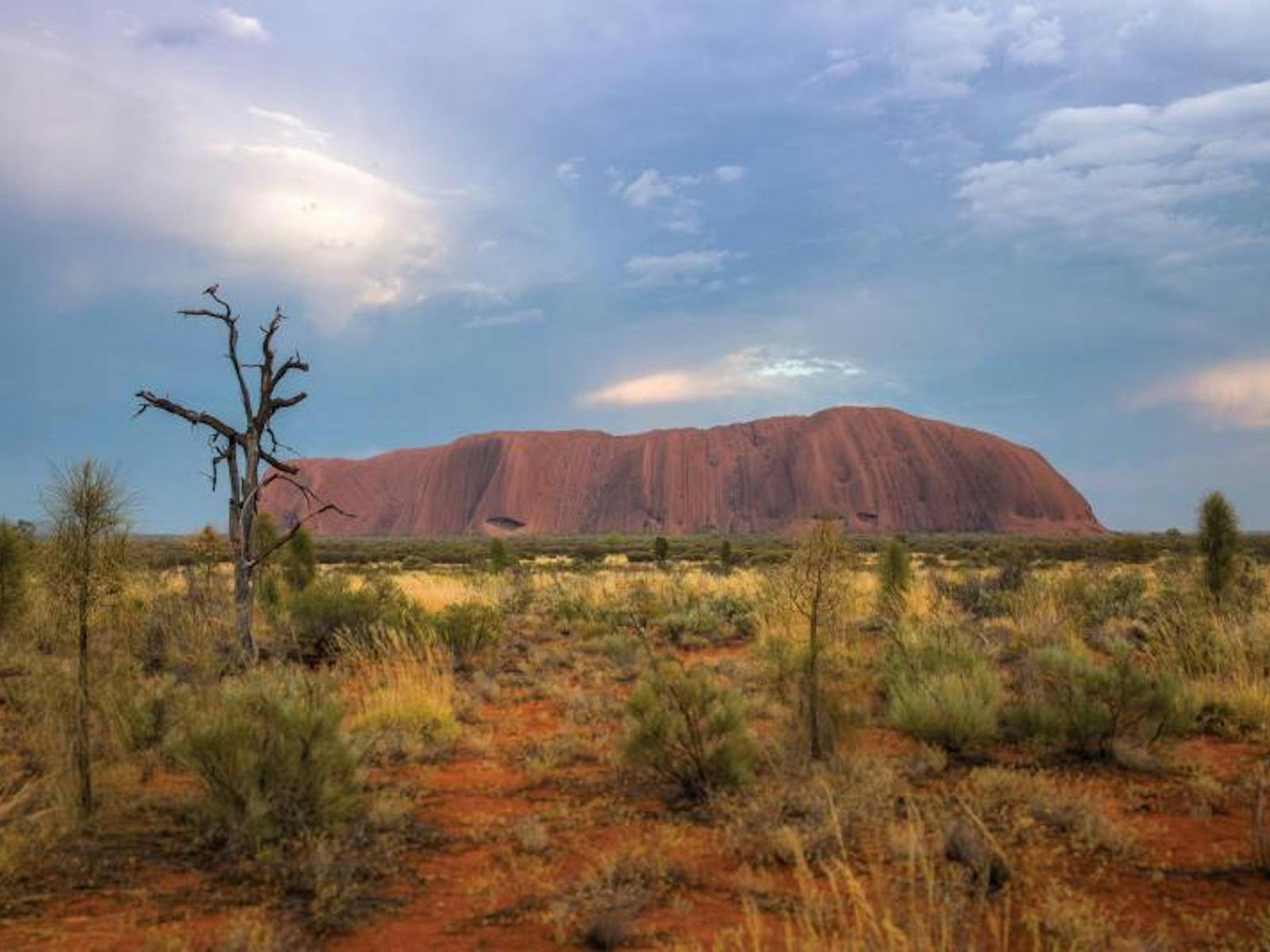 NT - Uluru moody sky