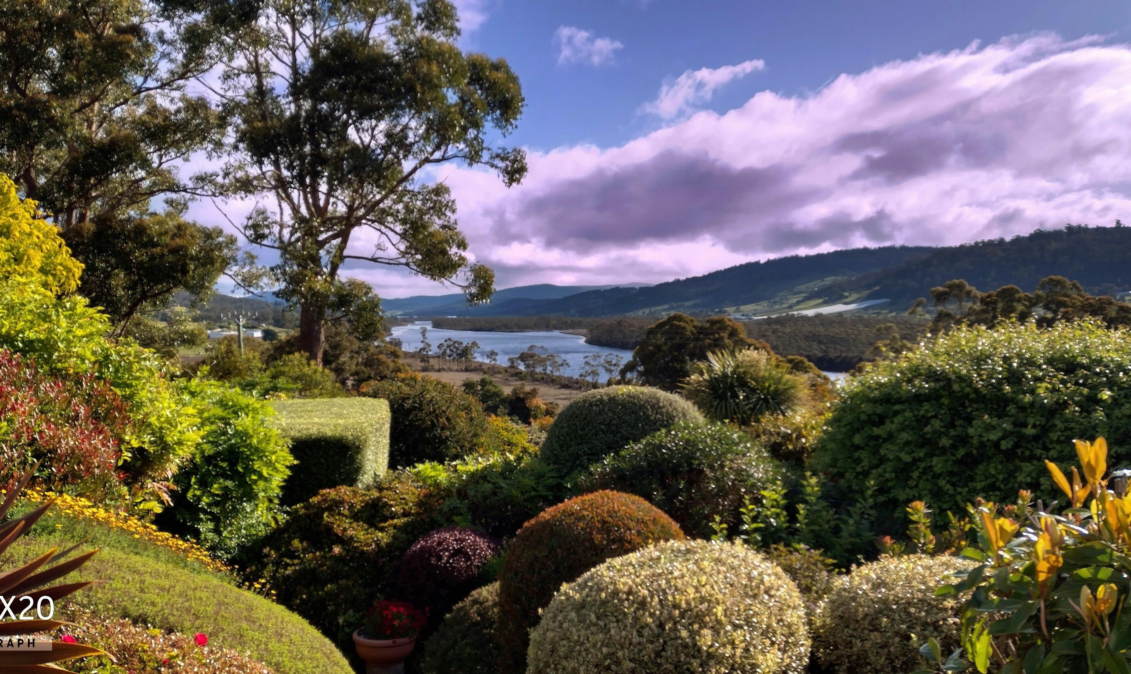 view from guesr rooms