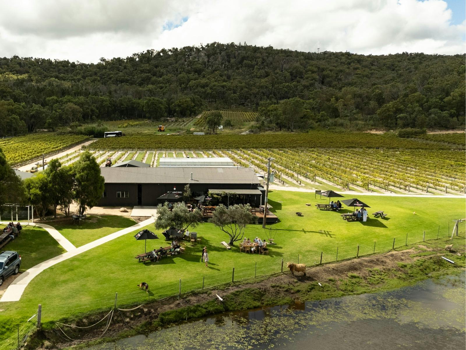 Balancing Heart Vineyard Cellar Door and Vines on the Granite Belt, South-East Queensland Balancing Heart Vineyard Cellar Door and Vines on the Granite Belt, South-East Queensland