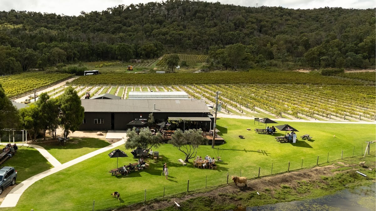 Balancing Heart Vineyard Cellar Door and Vines on the Granite Belt, South-East Queensland