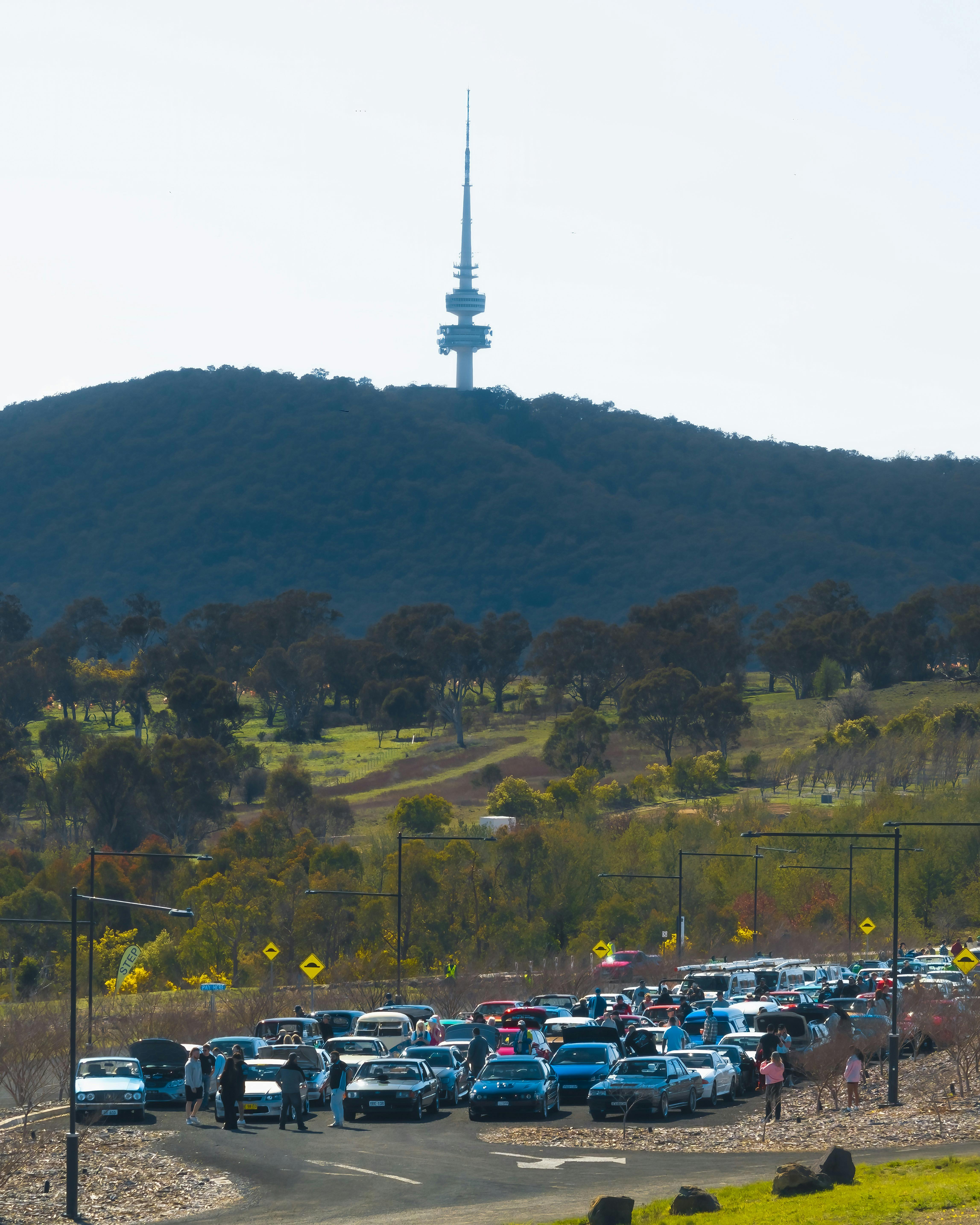 Cars parked at the Arboretum with Telstra Tower in the background