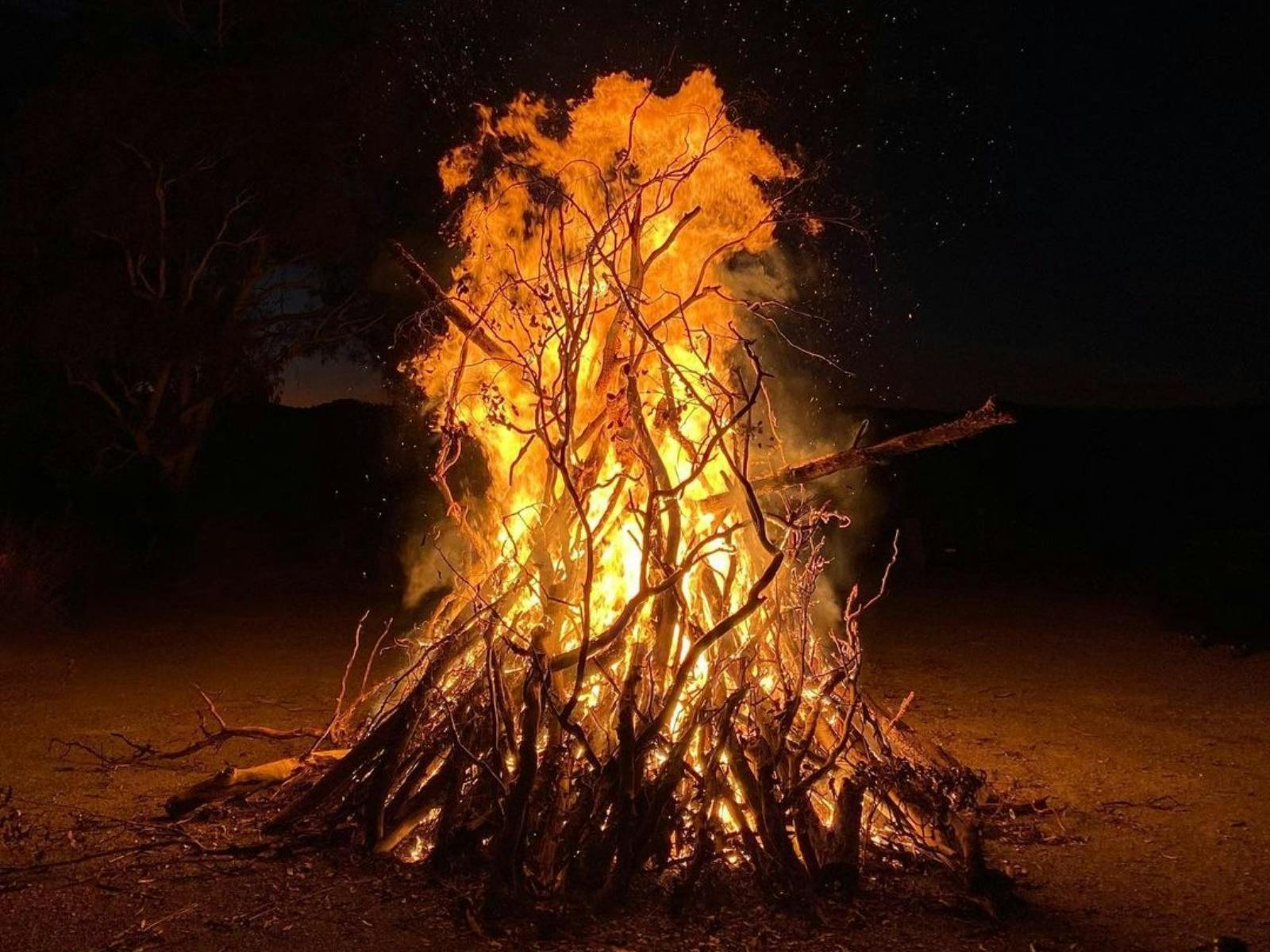 Yarrh Wines Winter Solstice Bonfire