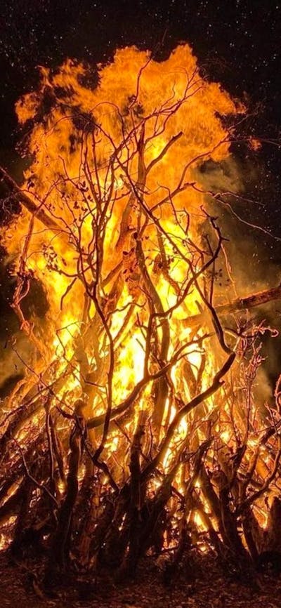 Bonfire
