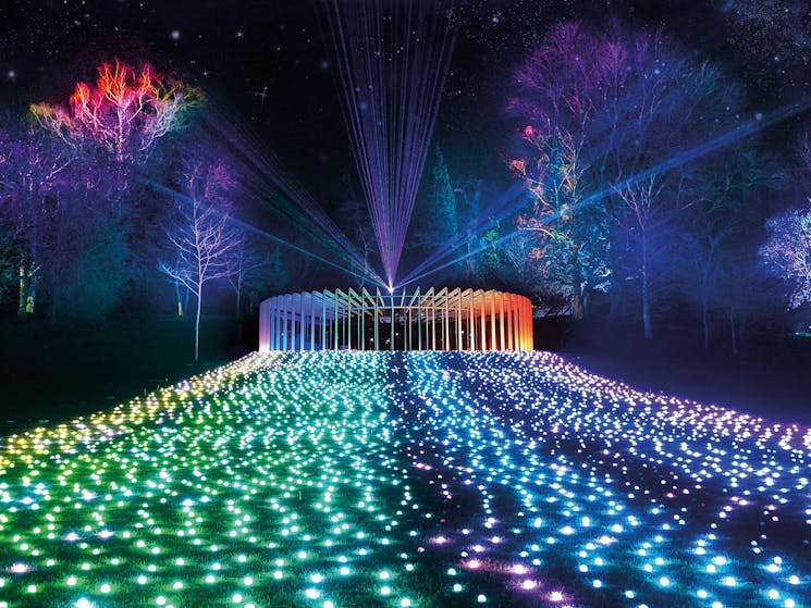 Lightscape at the Garden