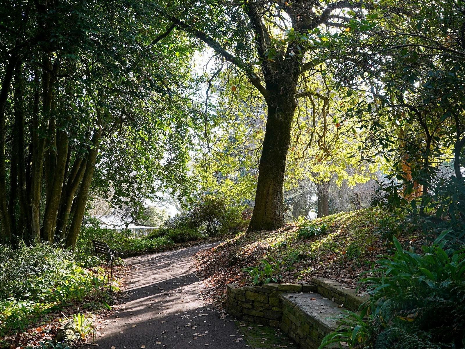 Wombat Hill Botanic Gardens