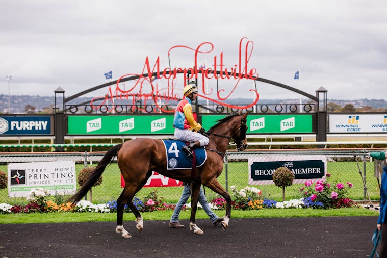Cox Plate Day 2021