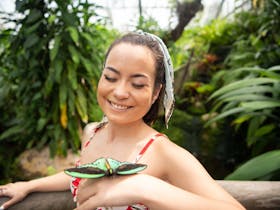 Australian Butterfly Sanctuary