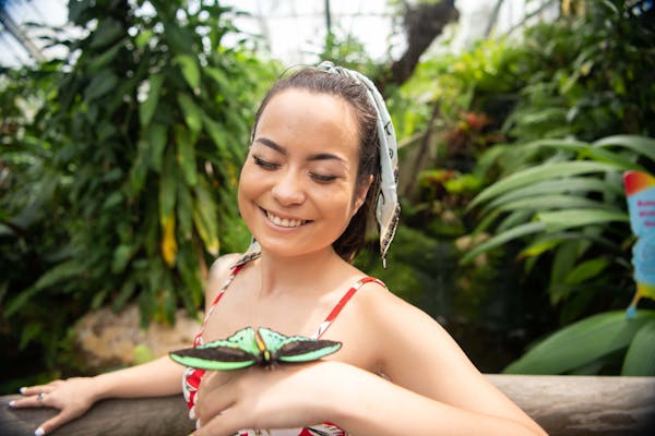 Australian Butterfly Sanctuary, Kuranda