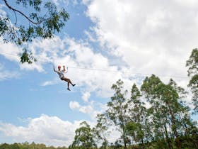TreeTops Coffs Harbour