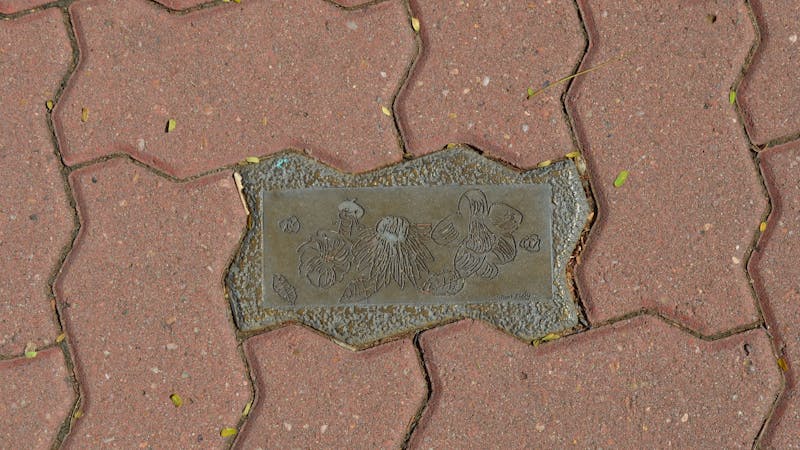 Ellena Street Pavement Art and Sculpture