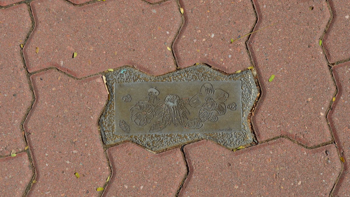 Ellena St pavement art