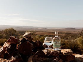 Bottle of Farrier's Gin with a glass of gin and tonic containing juniper with Flinders Ranges