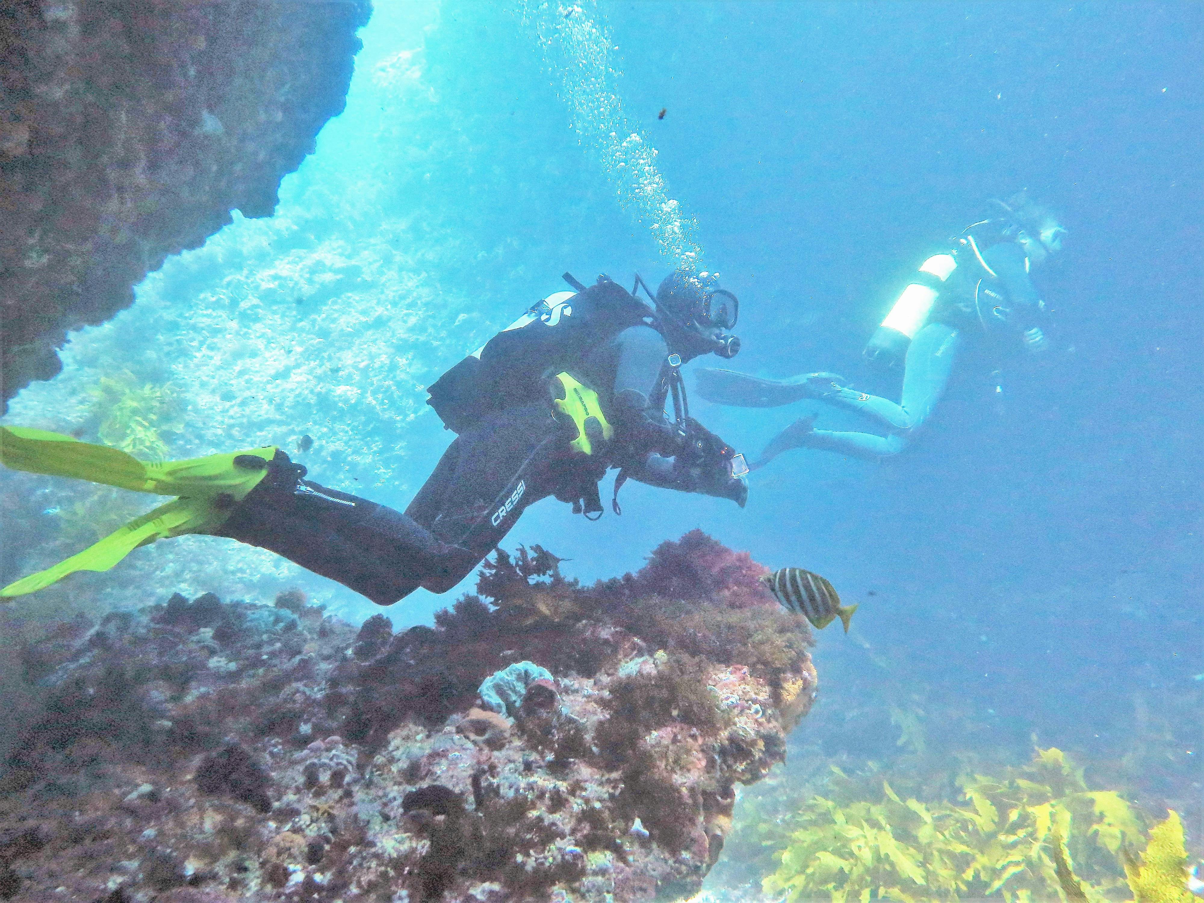 Rottnest Island Double Dive Day