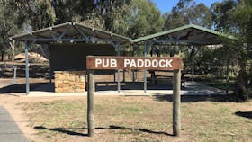 The Pub Paddock