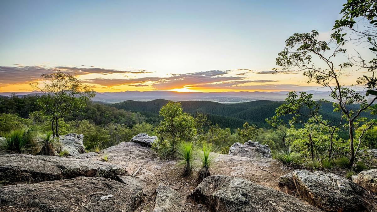 Brooyar State Forest | Attractions | Queensland