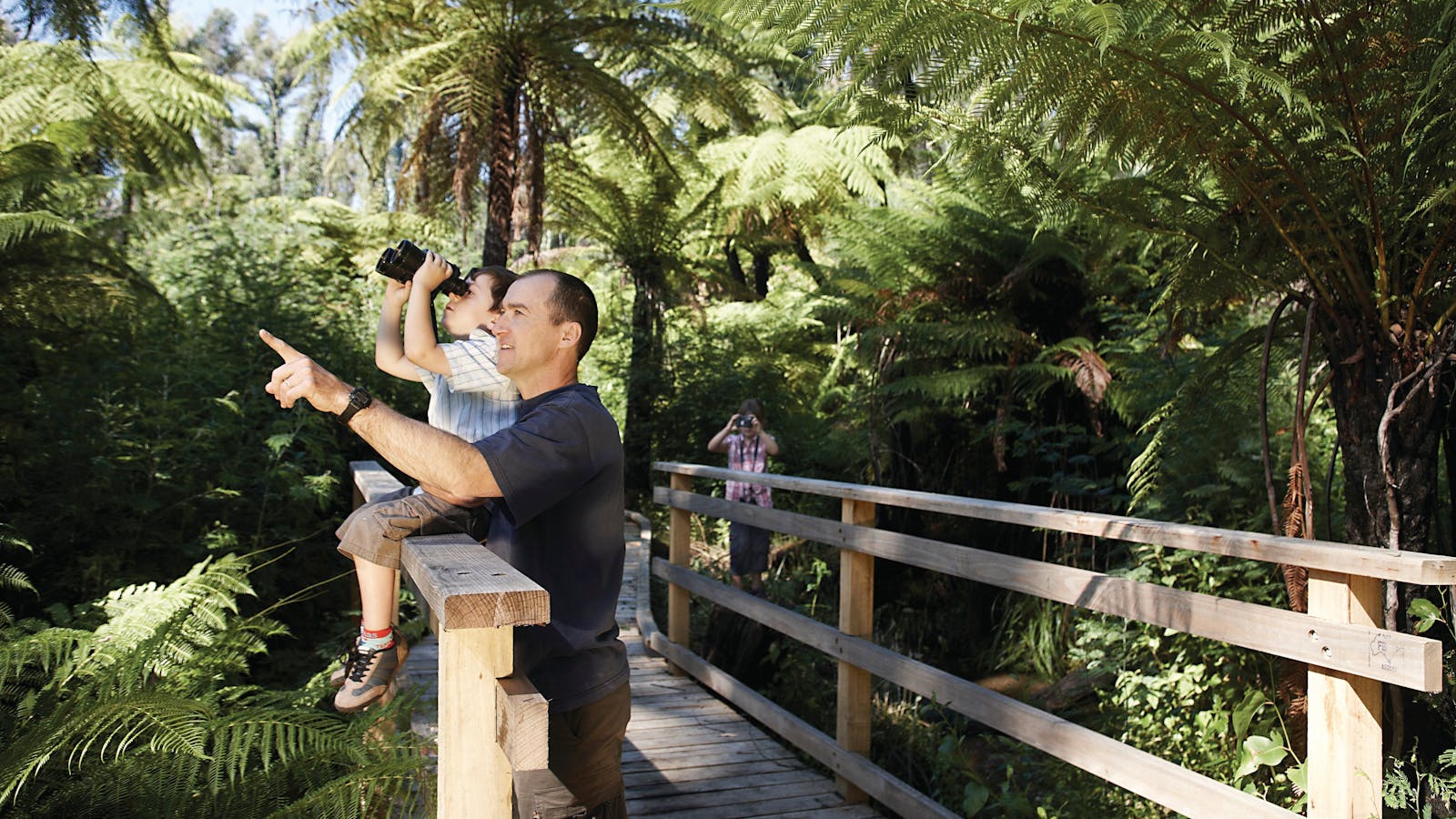 Yarra Ranges National Park