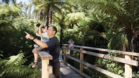 Yarra Ranges National Park