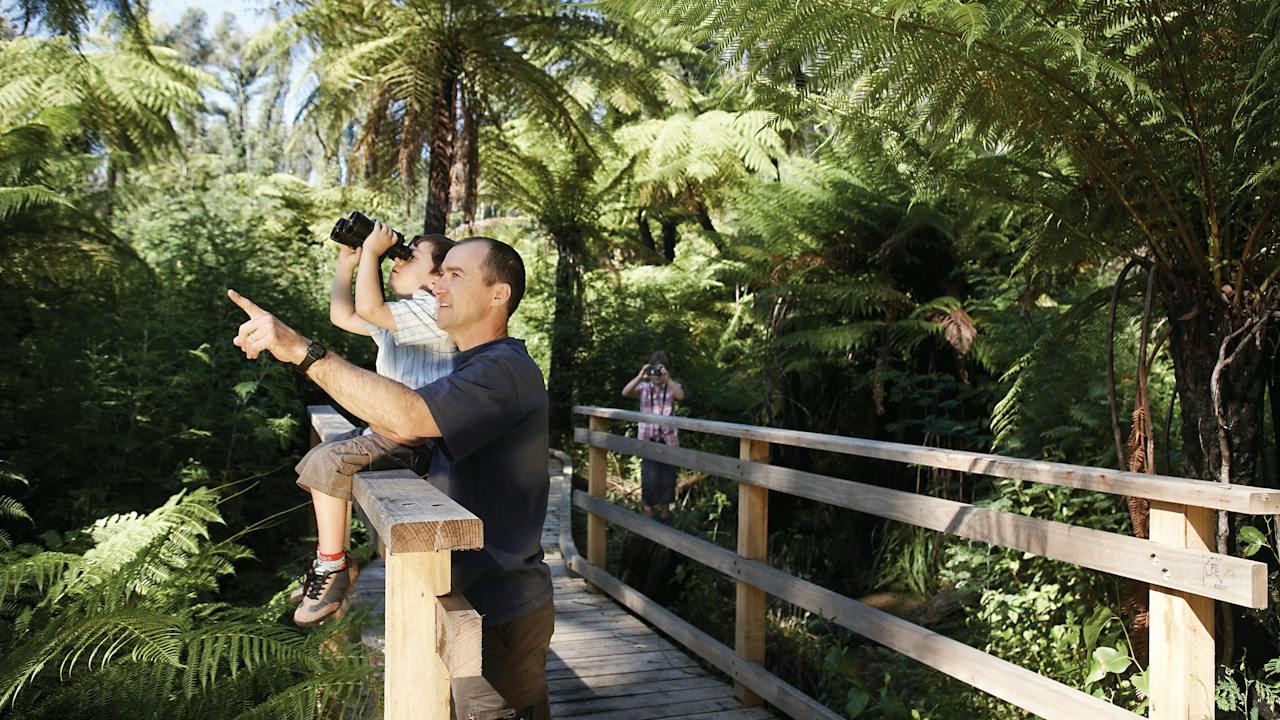 Yarra Ranges National Park