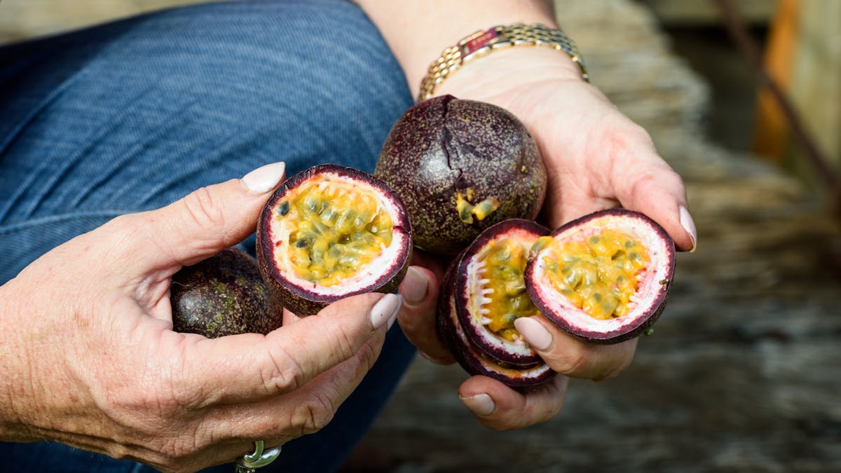 Fruit at Tinaberries