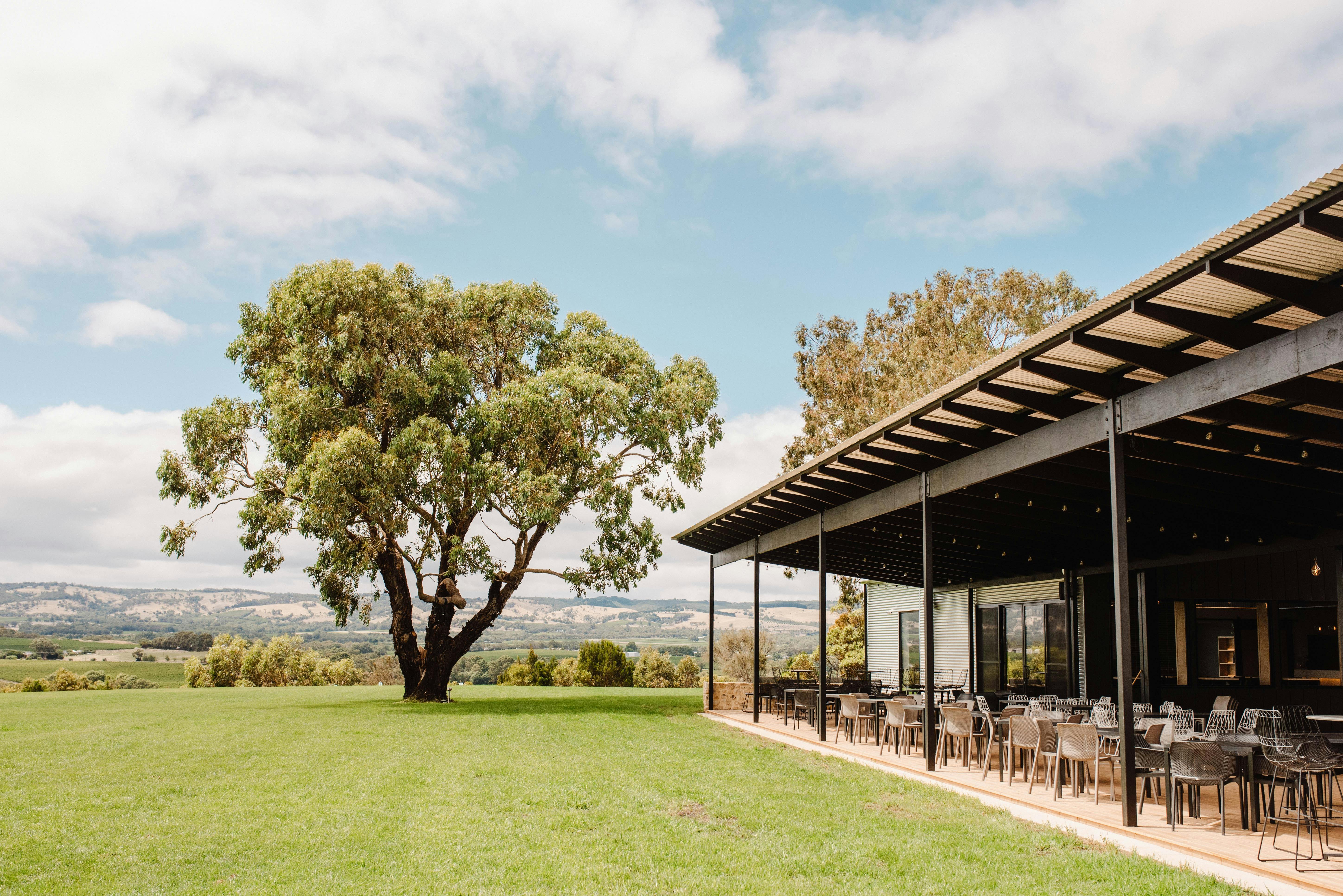 outdoor deck with tree in background