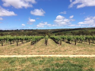 Coates Wines