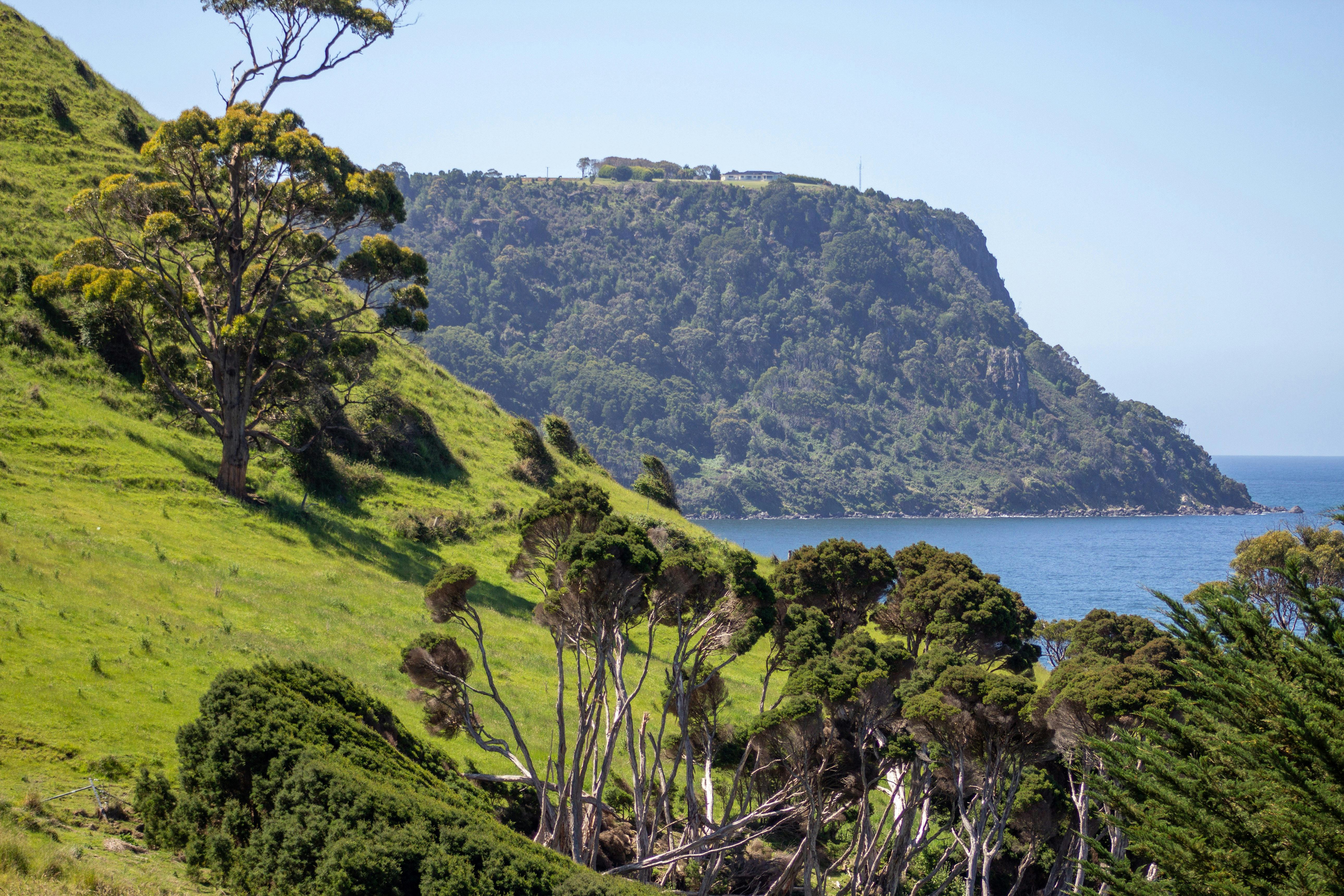 Fossil Bluff, Wynyard